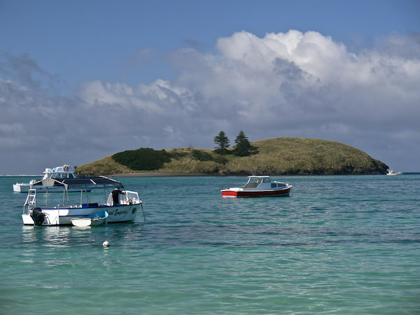 Pesca-experiencias en la Isla Lord Howe en Australia 8
