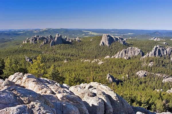 Pico del alce negro
