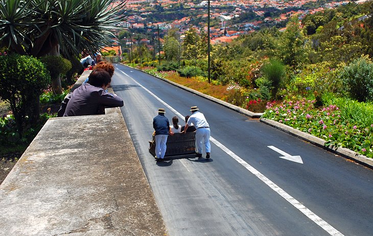 Pista de trineo Monte