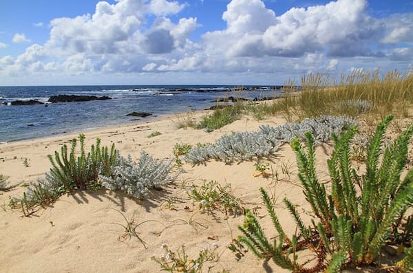 Playa Canto Marino