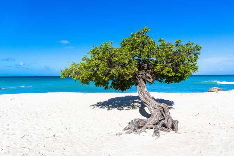 Playa Eagle, Aruba - playas del caribe