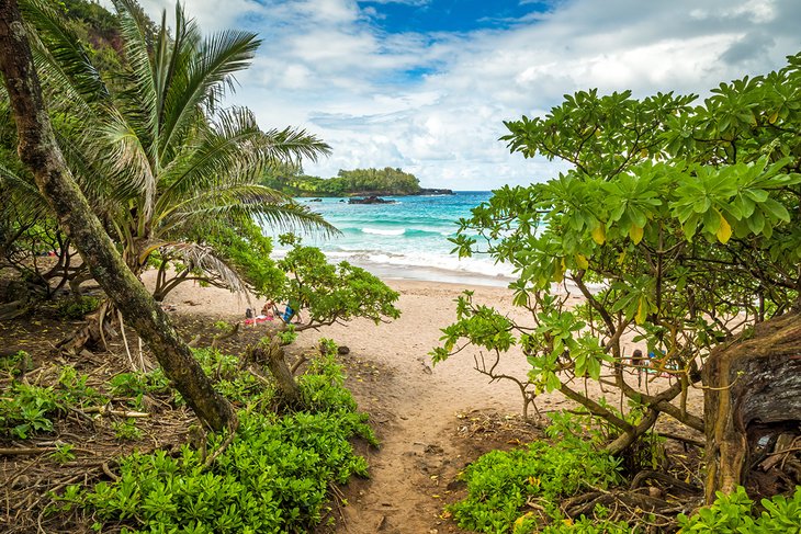 Playa Koki
