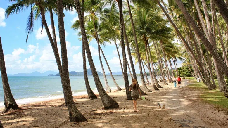 Playa Palm Cove