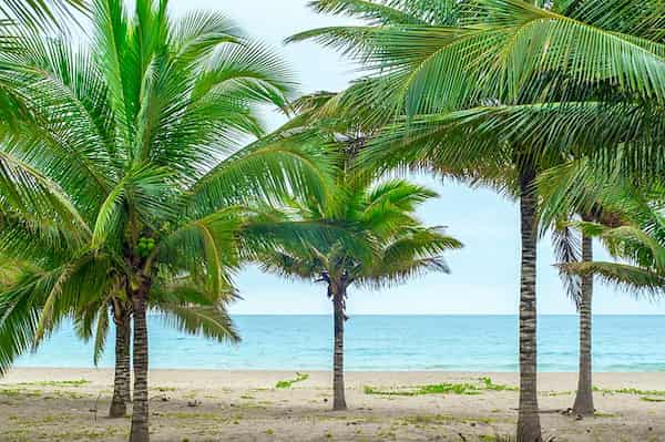 Playa Puerto López, Provincia de Manabí-Playas de Ecuador