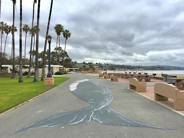 Playa estatal de Doheny, Dana Point