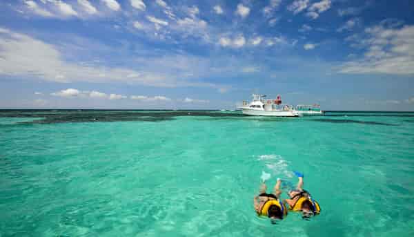 Practique esnórquel y nade en el parque estatal John Pennekamp Coral Reef, Key Largo