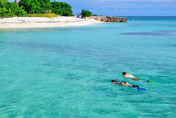 Practique snorkel o buceo en los Cayos de Florida