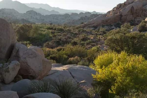 Presa Barker-Rutas de senderismo en el Parque Nacional Joshua Tree