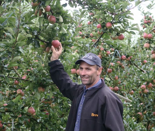 Produtores de manzanas-Granite Belt 6