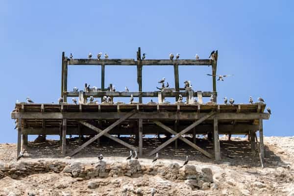 Puede descubrir la exportación más crucial de Perú