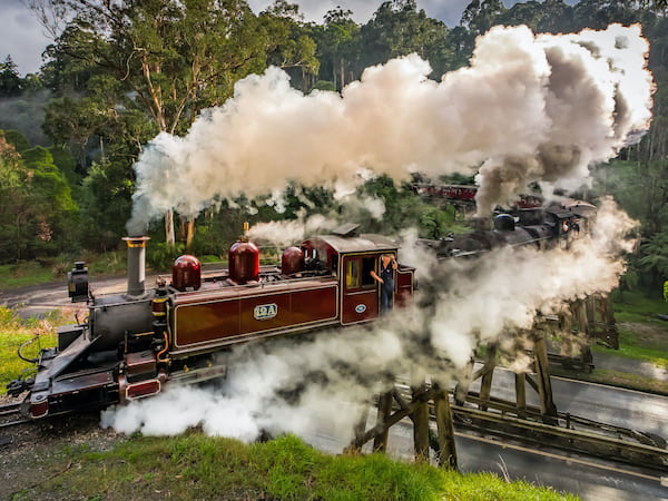 Puffing Billy viajes en tren vintage en Australia 2