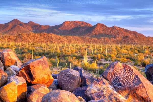 Qué puedes hacer en una visita al Parque Nacional Saguaro