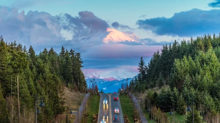 Qué saber antes de visitar el Monte Rainier