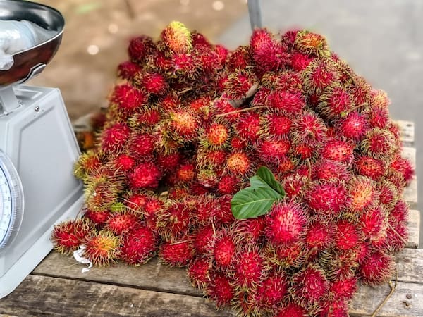 Rambutanes 4-fruta costa rica
