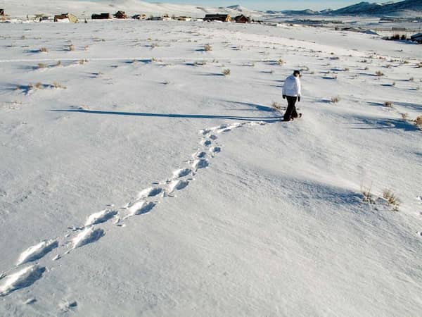 Raquetas de nieve