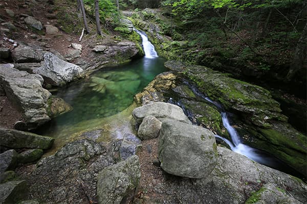 Rattlesnake Pool