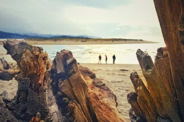 Recorre las Playas-Actividades al Aire Libre en Lincoln City