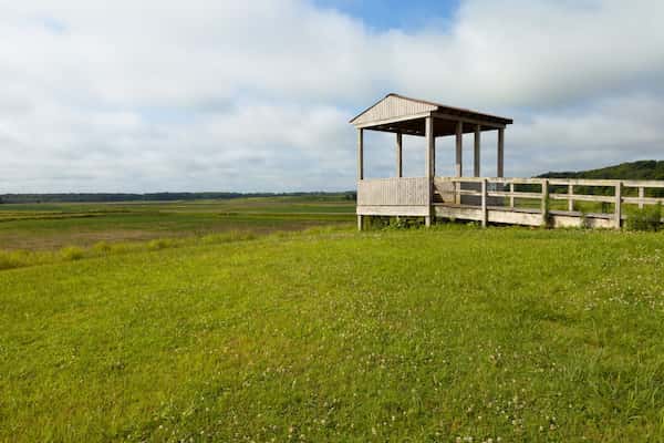 Refugio Nacional de Vida Silvestre Hatchie, Tennessee