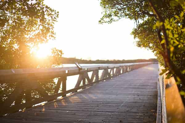 Regrese a la naturaleza en el parque estatal John D. MacArthur Beach