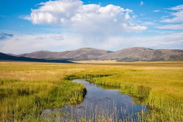 Reserva Nacional Valles Caldera 