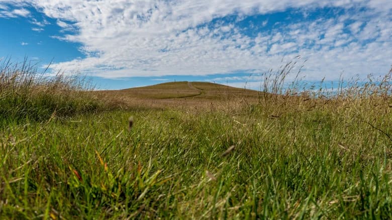Reserva Nacional de Praderas de Hierba Alta de Kansas