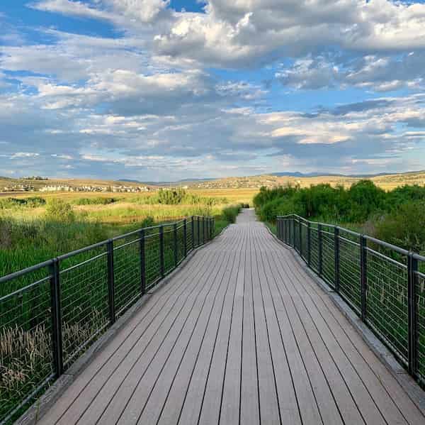 Reserva Swaner y EcoCentro