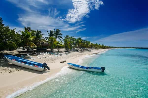 Reserva una excursión a la Isla Catalina