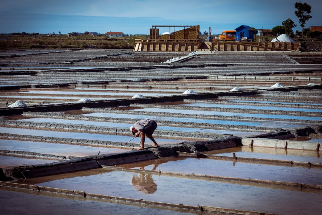 Salinas de Aveiro