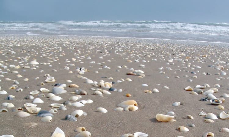 San José Island-lugares en texas para vacacionar