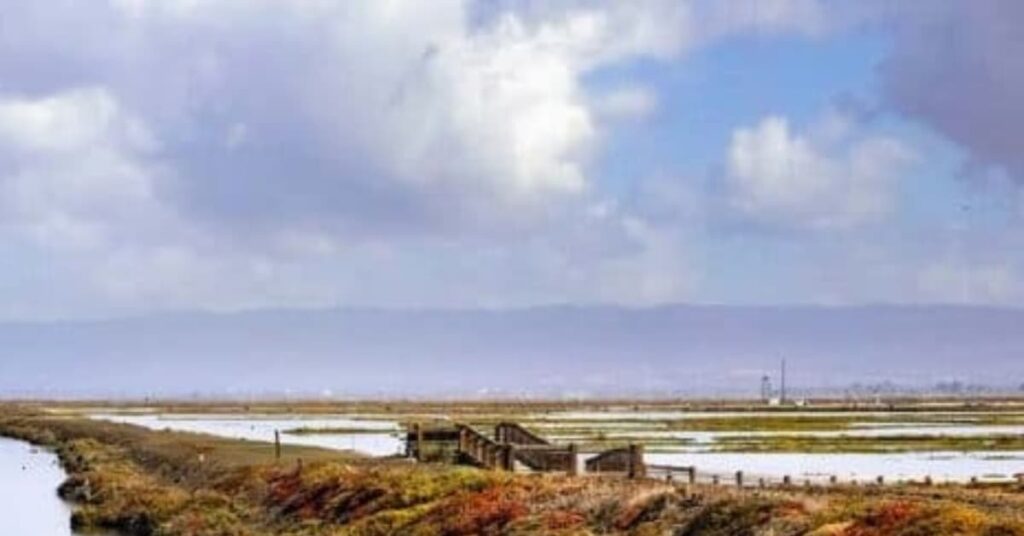 Sendero Alviso Slough
