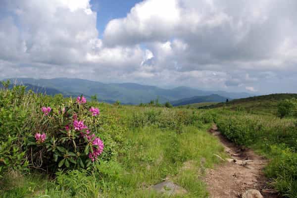 Sendero Art Loeb-Caminatas cerca de Asheville