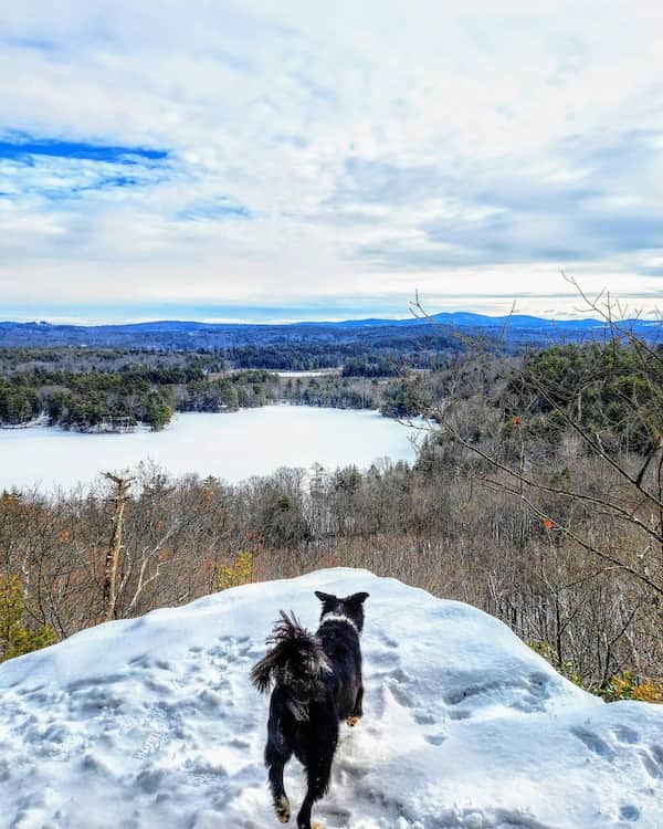 Sendero Hamlin-caminar con raquetas de nieve en New Hampshire-1