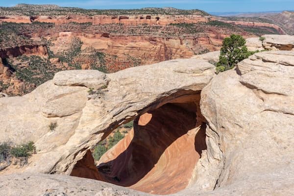 Sendero Rattlesnake Canyon Arches 