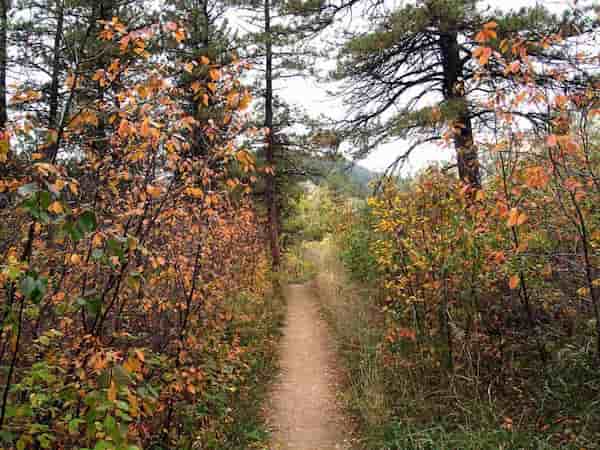 Sendero Rocagris