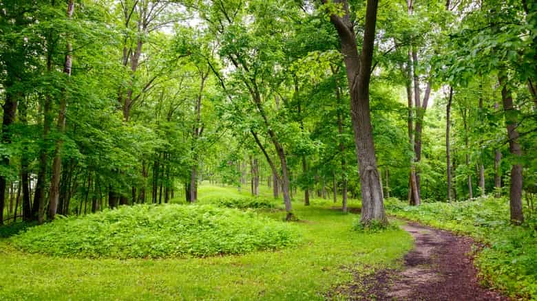 Sendero circular Fire Point, Monumento Nacional Effigy Mounds, Iowa