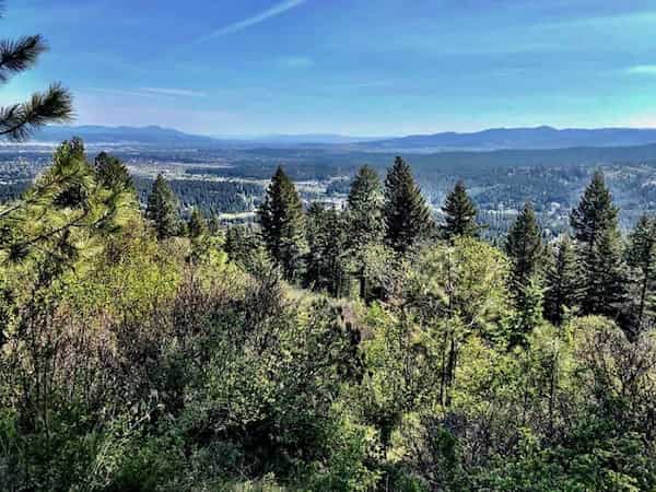 Sendero circular de Iller Creek