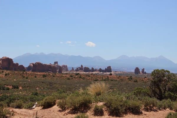 Sendero de Willow Springs
