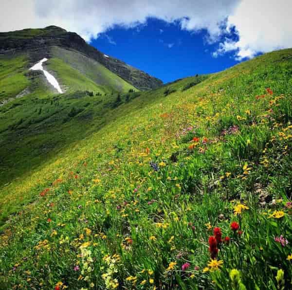 Sendero de la montaña Ballard