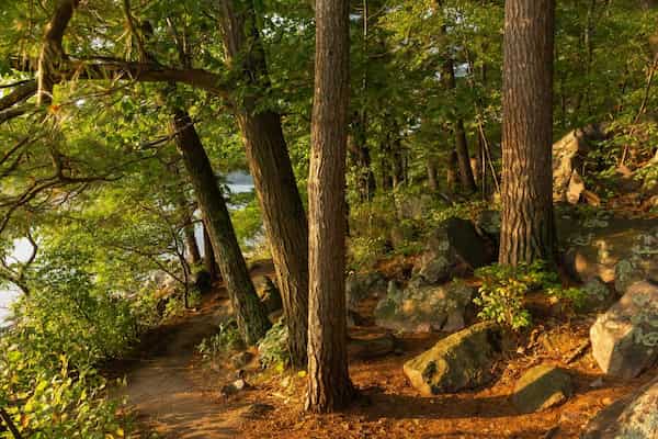 Sendero de rocas caídas-Rutas de Senderismo en el Parque Estatal Devil's Lake