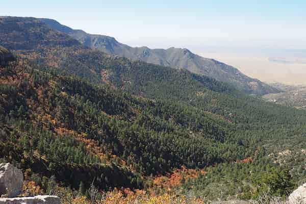 Sendero del 4 de julio