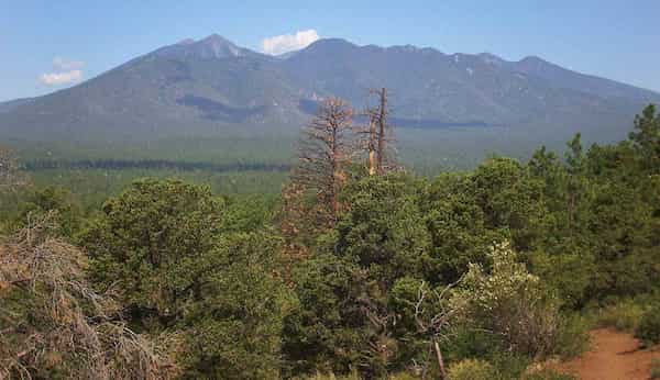 Sendero del cráter de las cuevas antiguas