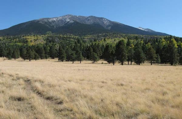 Sendero del lago Bismarck-Caminatas en Flagstaff