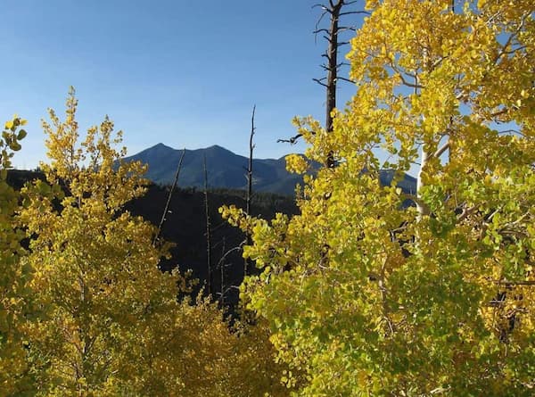 Sendero del mirador de Elden-Caminatas en Flagstaff