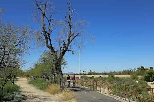 Sendero del parque del río Rillito