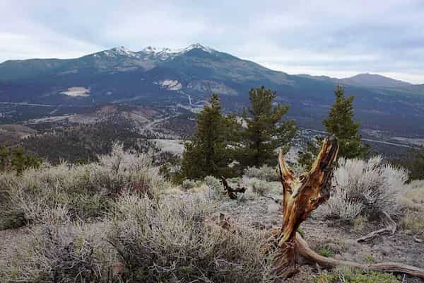 Sendero del pico O'Leary