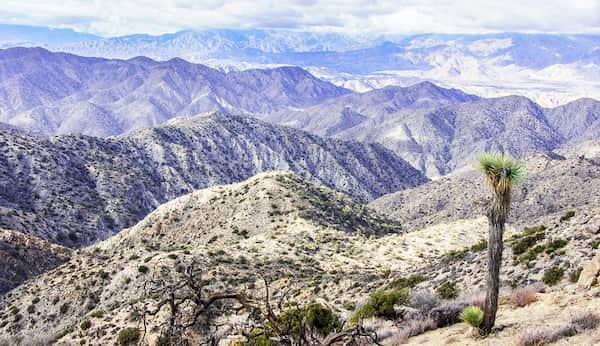 Sendero del pico Warren