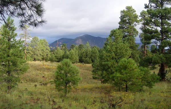 Senderos de Campbell Mesa