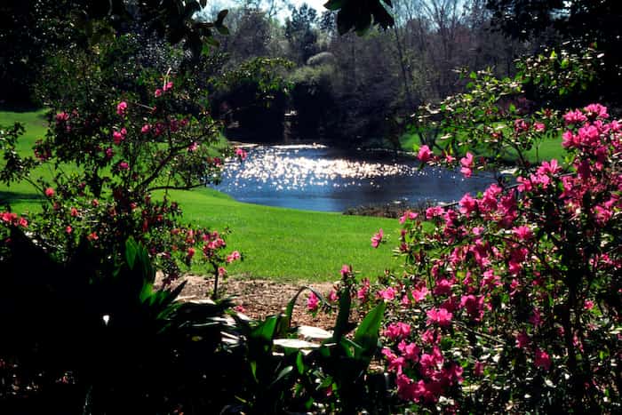 Senderos de flores-Senderos de exploración en Alabama