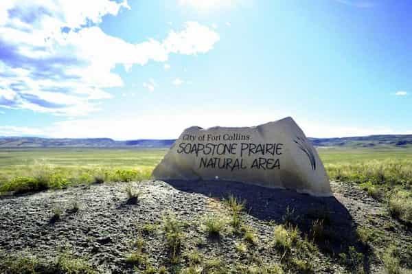 Senderos de la pradera de esteatita – Sendero del bucle de los berrendos
