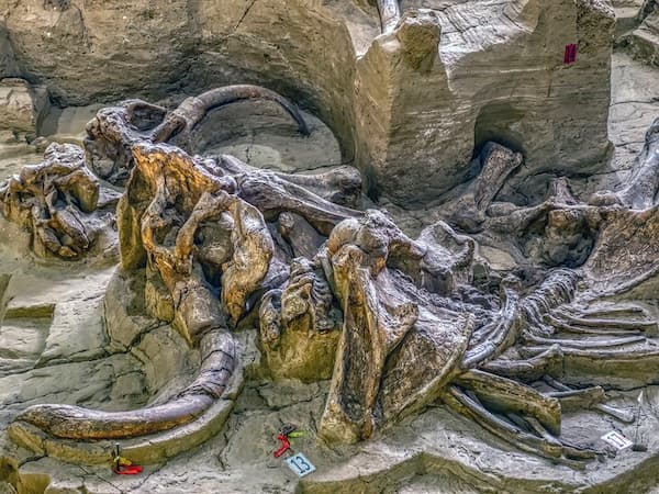Sitio de Mammoth - Atracciones turísticas en Dakota del Sur